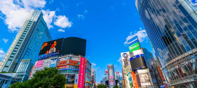Tour di Harajuku, Shibuya e Omotesando
