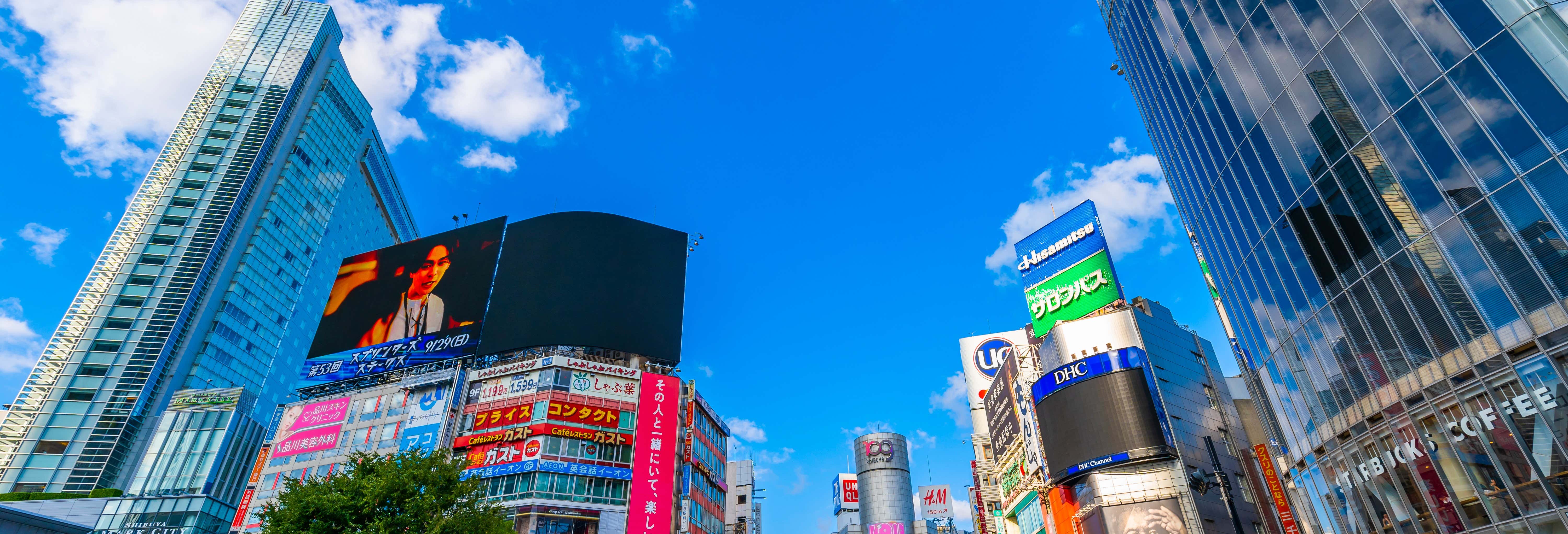 Guided Tour of Harajuku, Shibuya and Omotesando