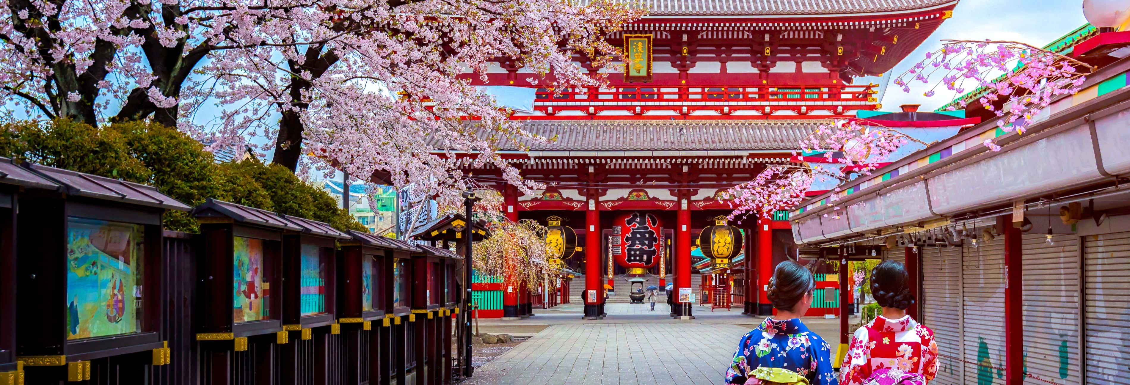 Tour privado por Tokio con guía en español