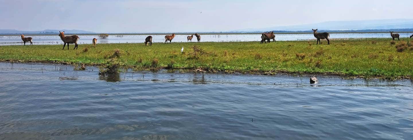 Excursión al lago Naivasha desde Nairobi - Civitatis.com