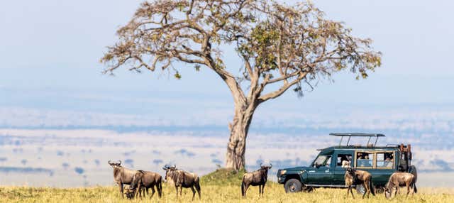 Safari de 3 días por Masái Mara