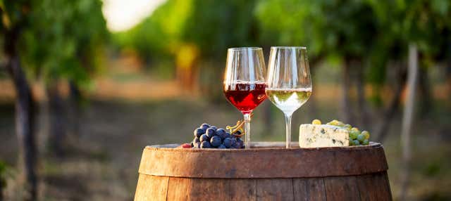 Tour de vinos por el Valle de Beqaa