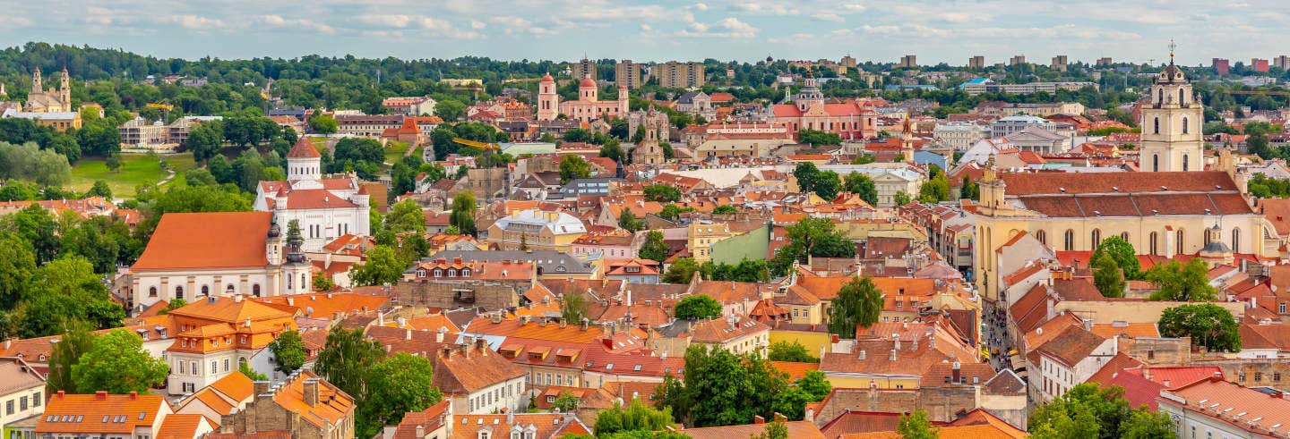 Tour privado por Vilna con guía en español