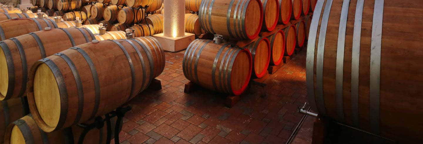 Visita a la bodega Tikves