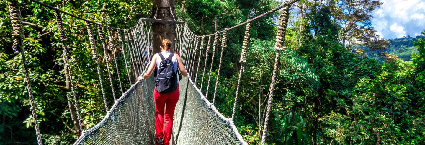 Excursión al Parque Kinabalu y termas de Poring
