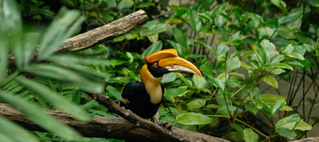 Sunway Lagoon Theme Park Day Trip