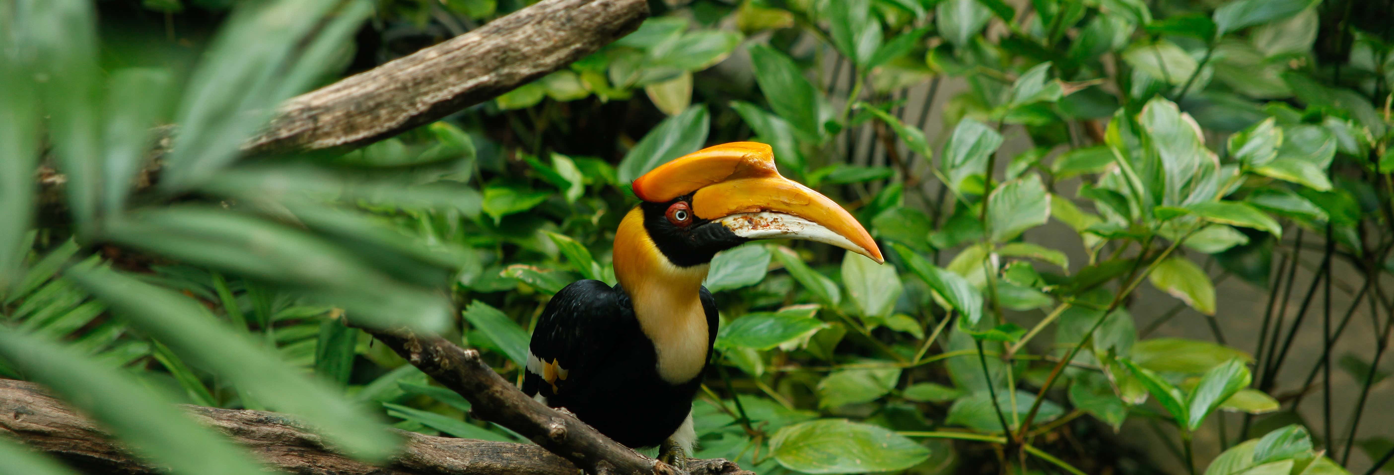 Excursión al parque temático Sunway Lagoon