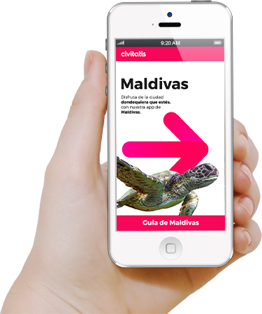 Descarga la app Civitatis