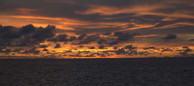 Passeio de barco ao entardecer + Snorkel