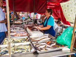 Mercado de pescado fresco en Marsaxlokk
