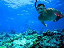 Snorkel em Comino