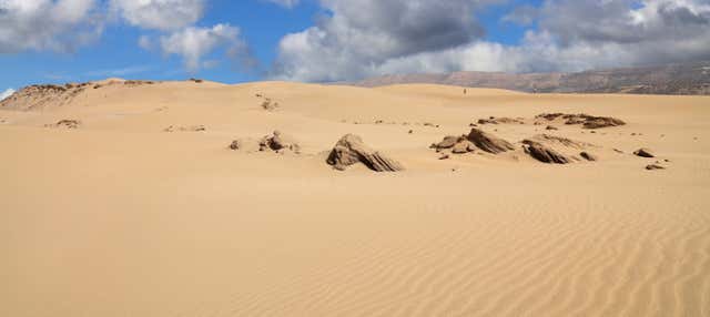 Tour en buggy por el desierto
