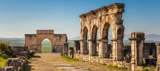 Excursion à Meknès et Volubilis