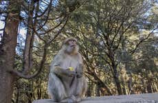 Excursion à Séfrou, Bhalil, Ifrane et Azrou