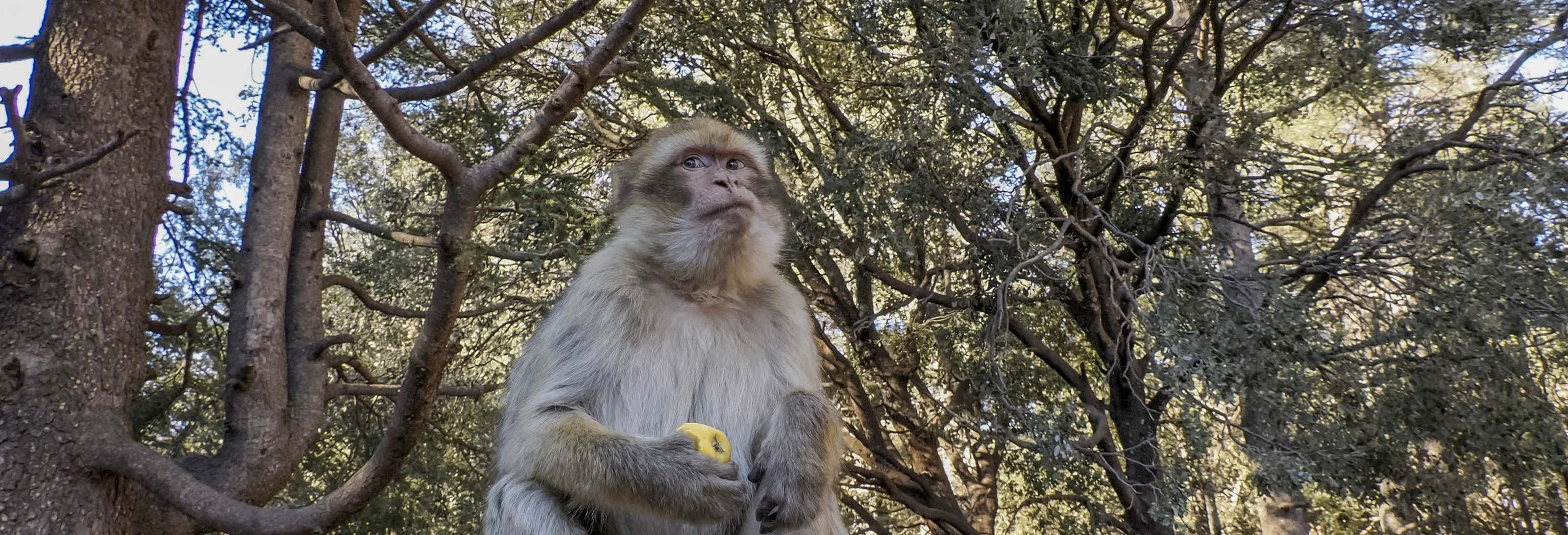 Excursion à Séfrou, Bhalil, Ifrane et Azrou