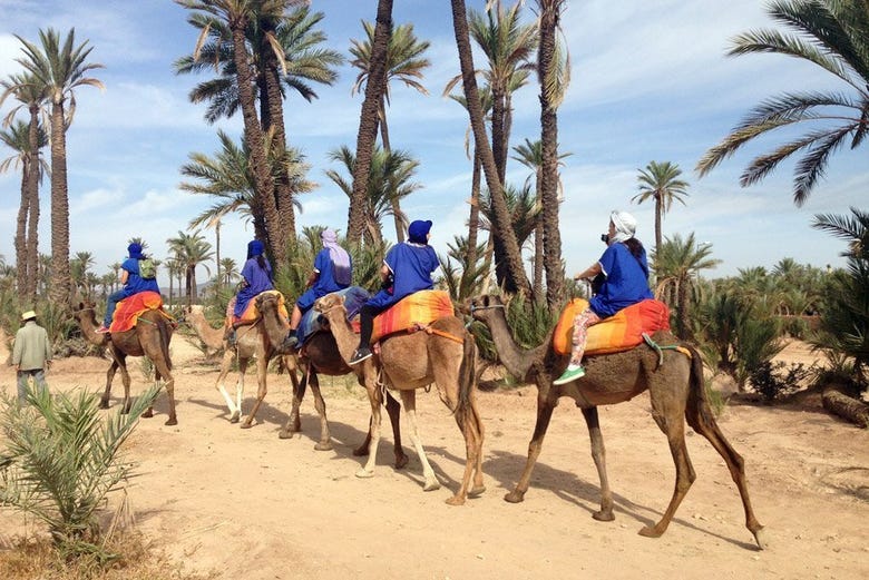 tour palmeral marrakech