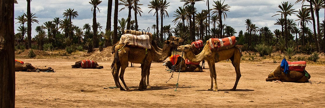 Beach Clubs In Marrakech The Best Places To Relax In Morocco