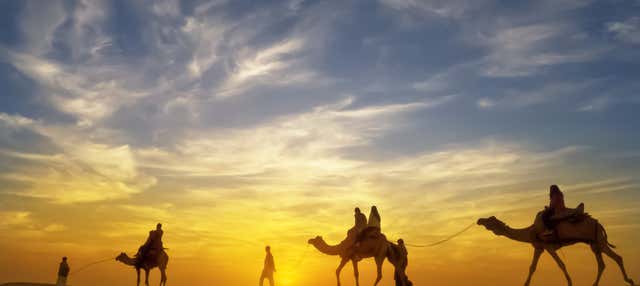 Desert Camel Ride with Dinner