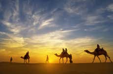 Desert Camel Ride with Dinner