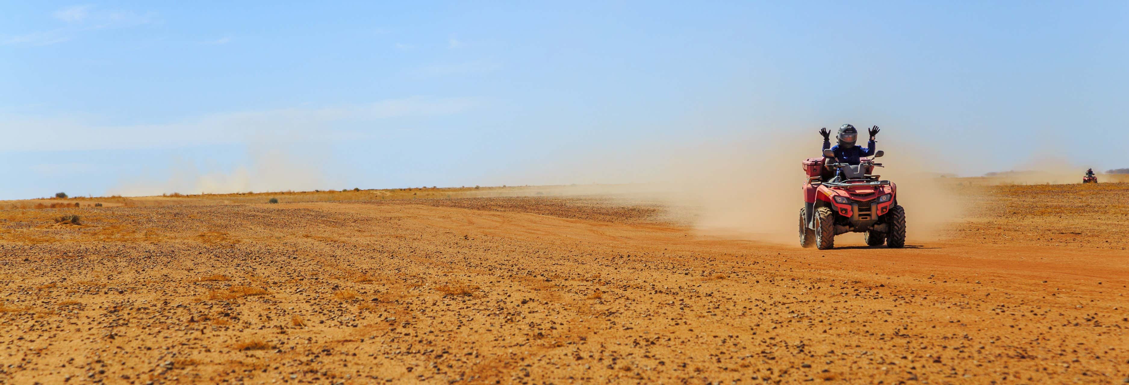 Buggy Tour and Camel Ride