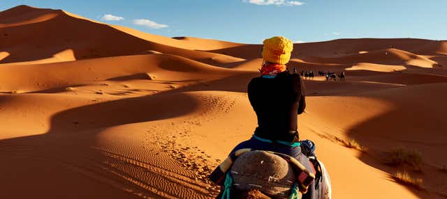 Passeio de camelo e noite no deserto
