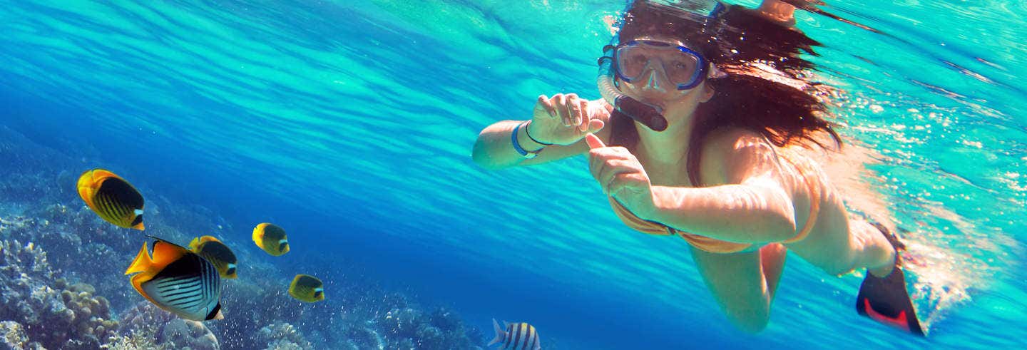 Snorkeling all'isola di Enmedio