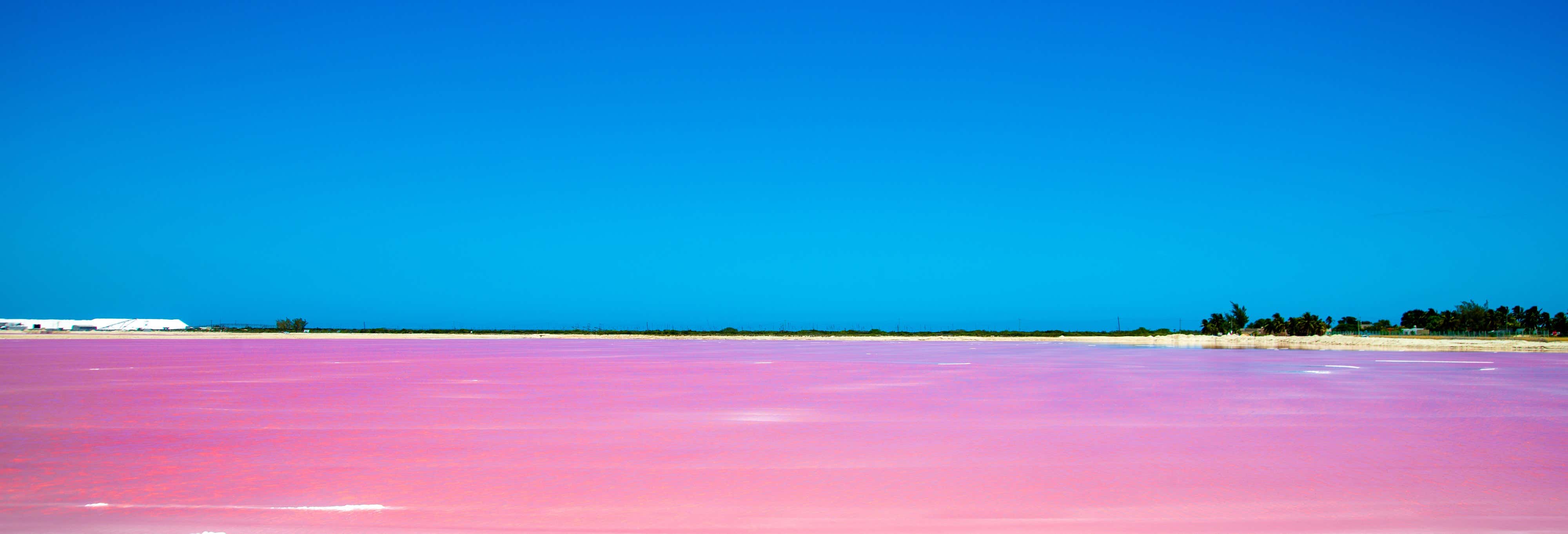 Excursión a Las Coloradas