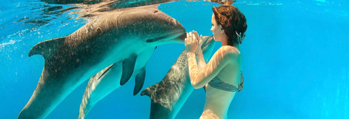Nado con delfines en Riviera Maya