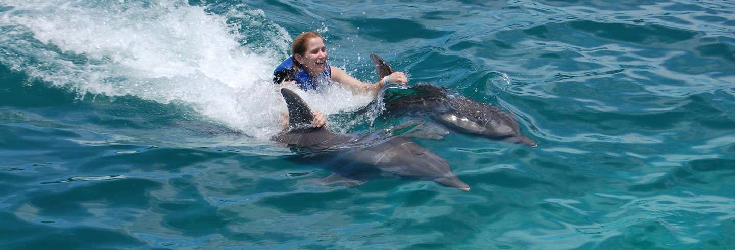 Nado con delfines en Isla Mujeres