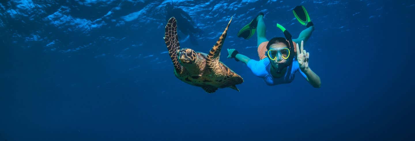 Nado con tortugas en la caleta Yalkú