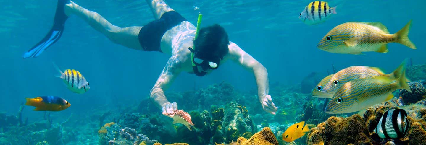 Snorkel en Cozumel