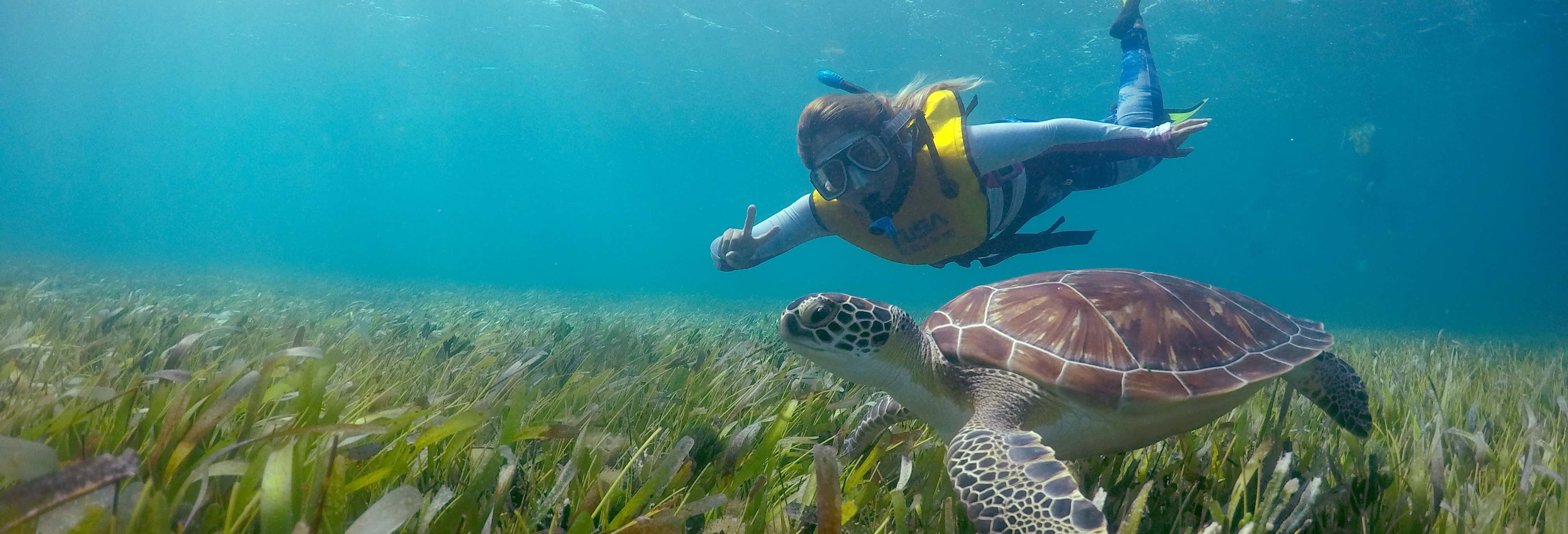 Snorkel nocturno en Cancún