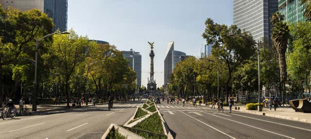 Free tour por Ciudad de México ¡Gratis!