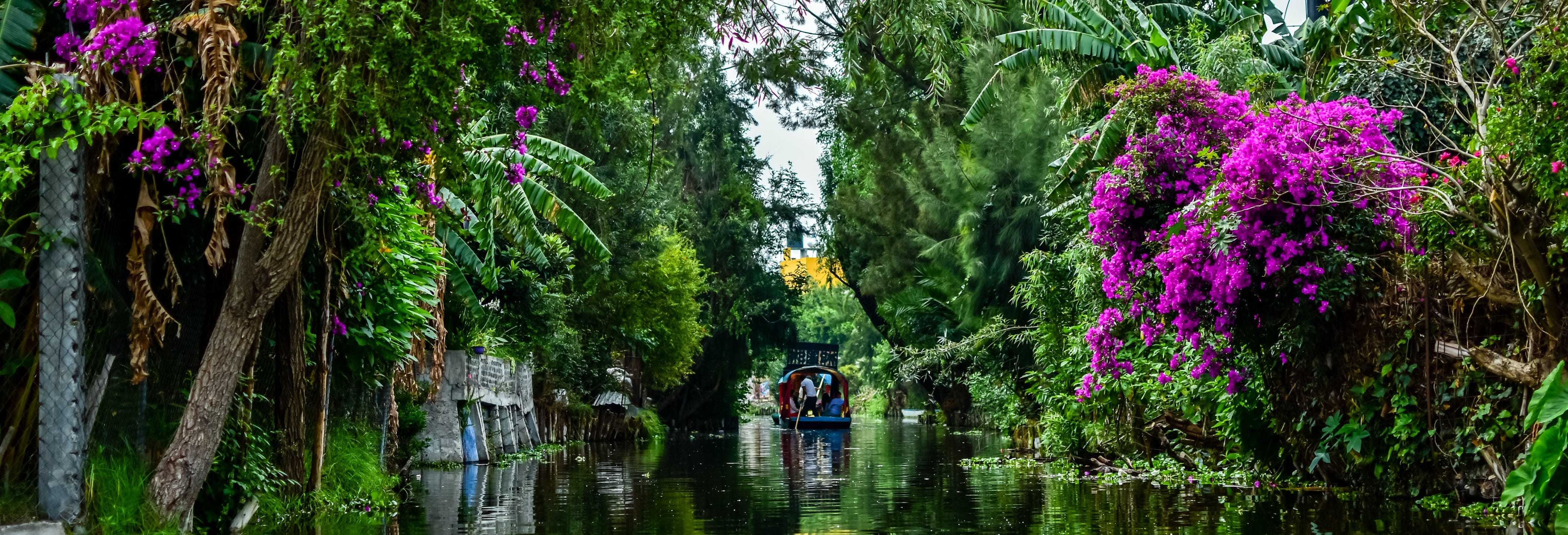 xochimilco tour nocturno