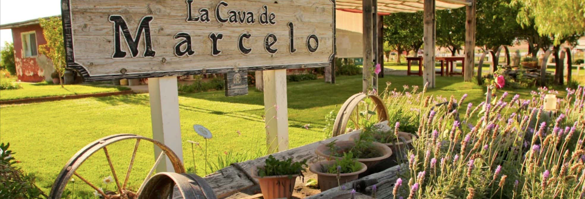 Cata de vino y queso en el Valle de Ojos Negros