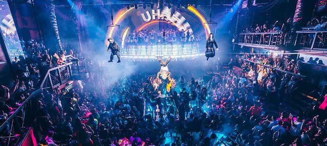 Festa alla discoteca Coco Bongo