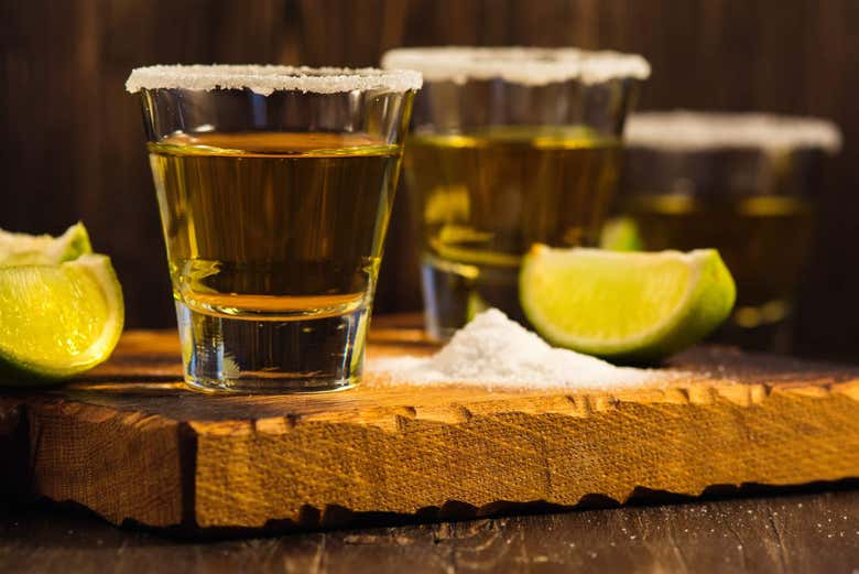 Tequila Distillery Tour Cabo at Paulette Langley blog