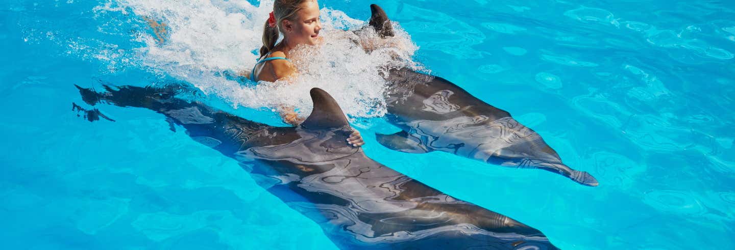 Nado con delfines