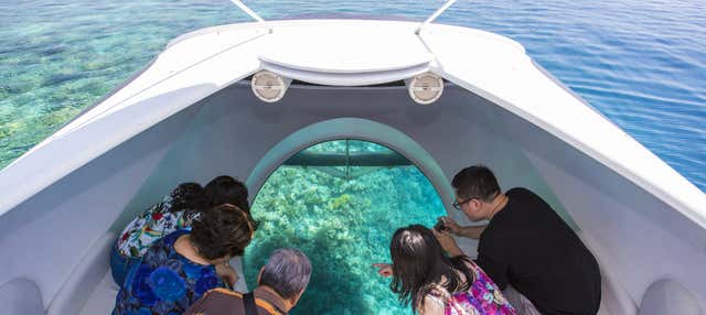 Glass Bottomed Boat Ride