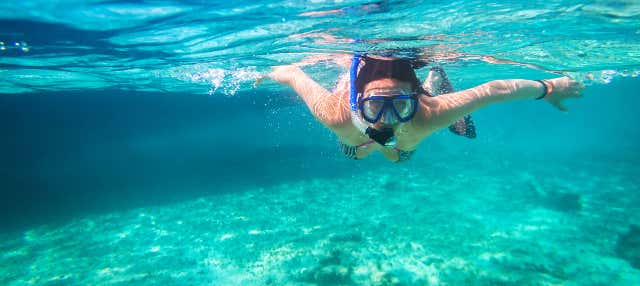 Los Cabos Snorkeling Tour