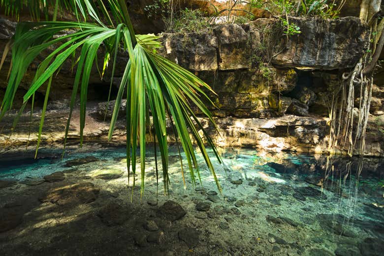 ,Excursión a Cenotes de Cuzamá