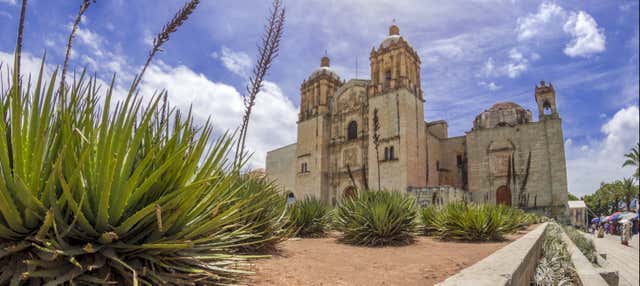 Visite privée dans Oaxaca, c'est vous qui choisissez !