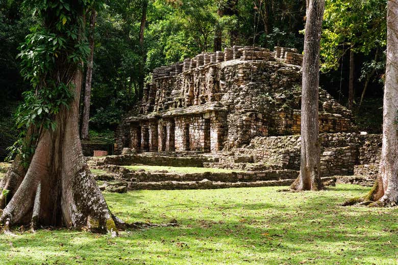 tours de palenque a bonampak y yaxchilan