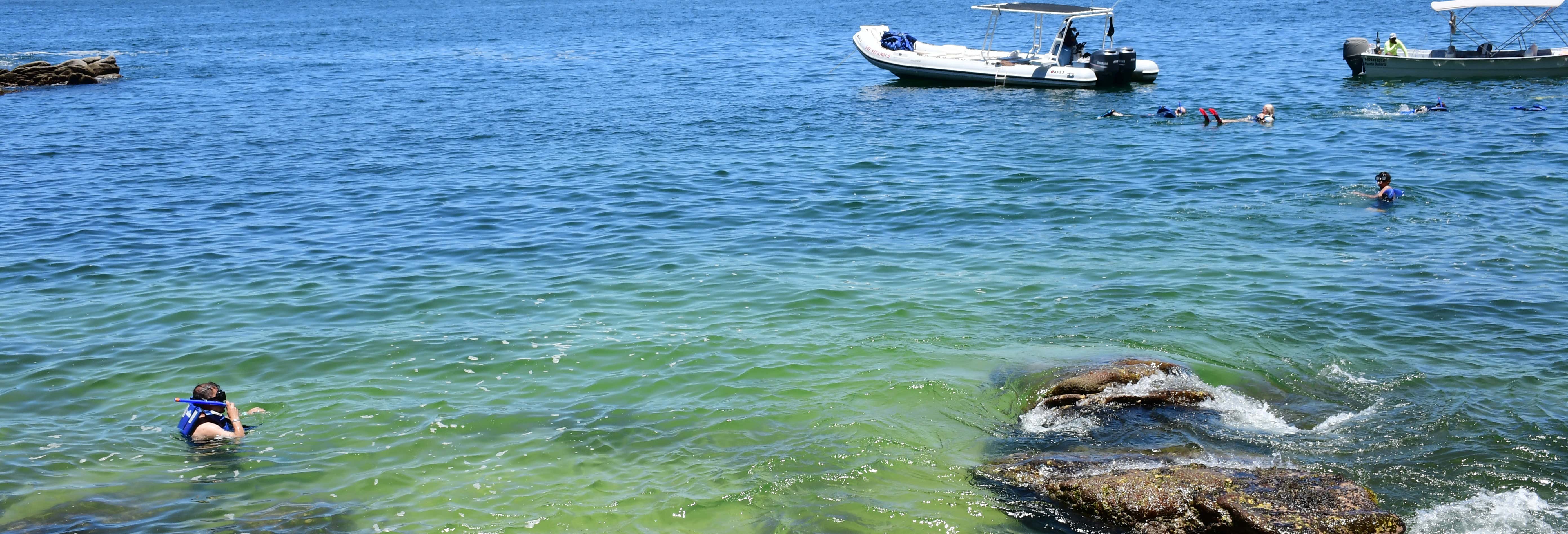 Tour de snorkel con parrillada