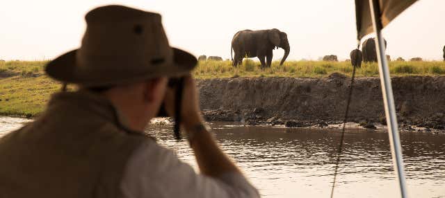 Safari de 8 días por el Delta del Okavango + Cataratas Victoria