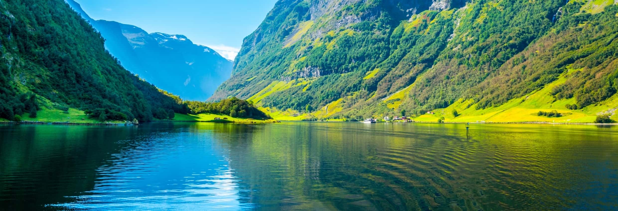 Tour por el fiordo de Nærøy para cruceros