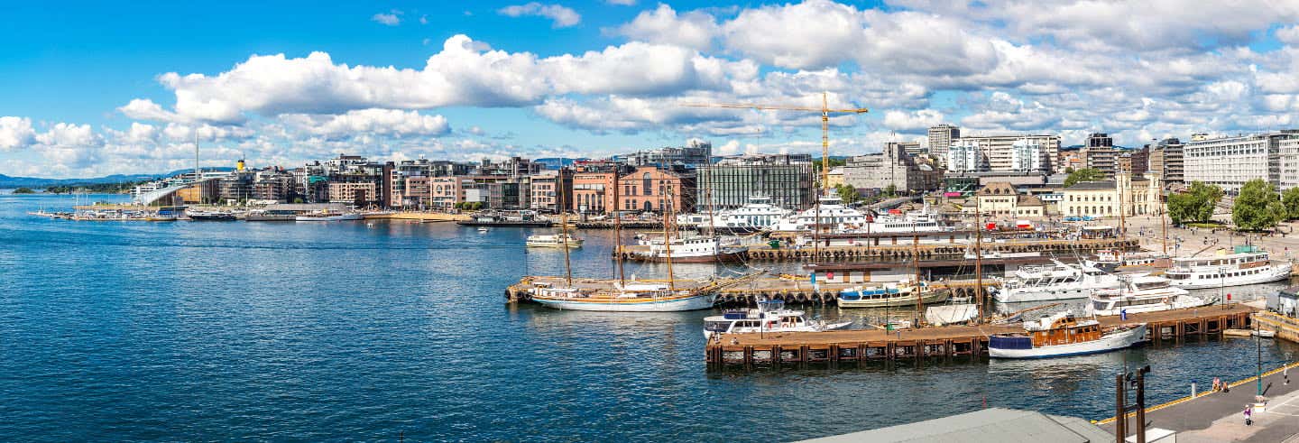Visite panoramique d'Oslo