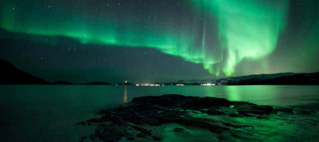 Northern Lights Catamaran Cruise
