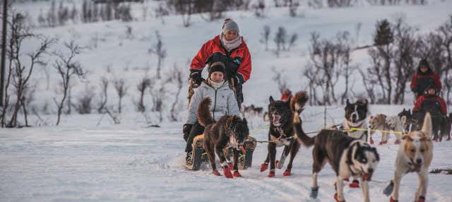 Giro in slitta con cani husky