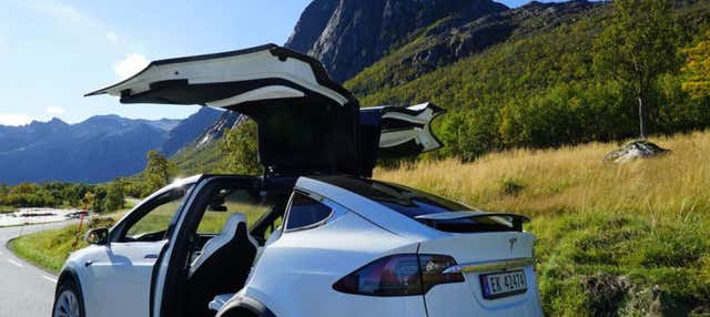 Visite panoramique des fjords norvégiens en Tesla